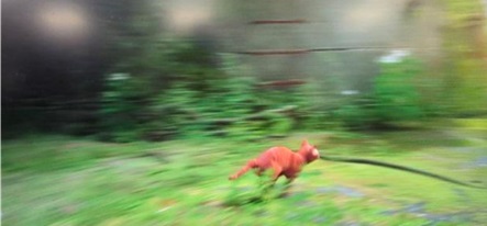 How to Reduce Motion Blur on PC Gaming qqq 1 Blur Image