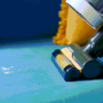 International-Cat-Day_Main2