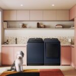 International-Cat-Day_Main4