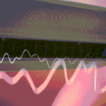 International-Cat-Day_Main5_F