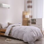 International-Cat-Day_Main6