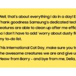 International-Cat-Day_Main7FF