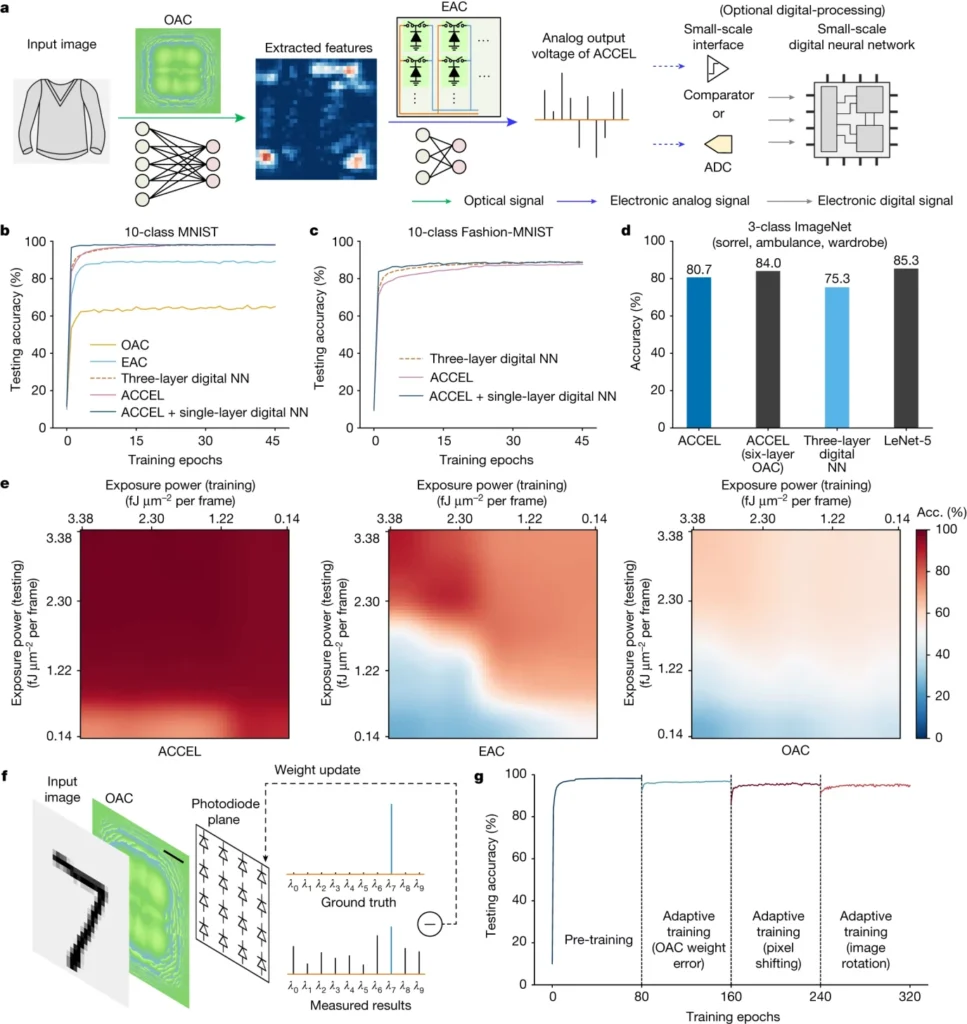 41586 2023 6558 Fig3 HTML 1375x1456 1