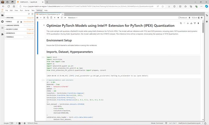  Intel Extension for PyTorch
