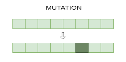 Mutation Mutation
