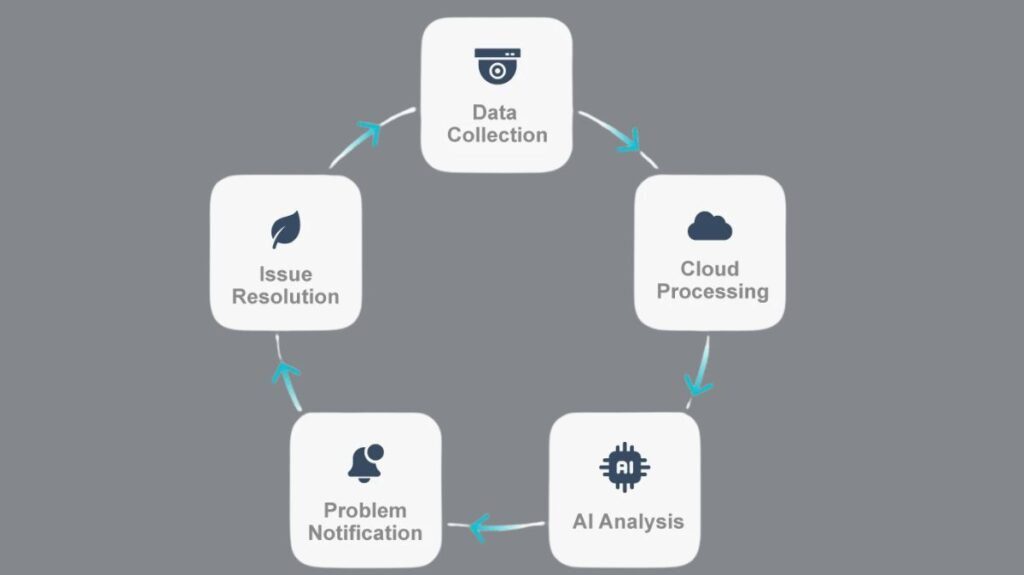 How does croptimus works?