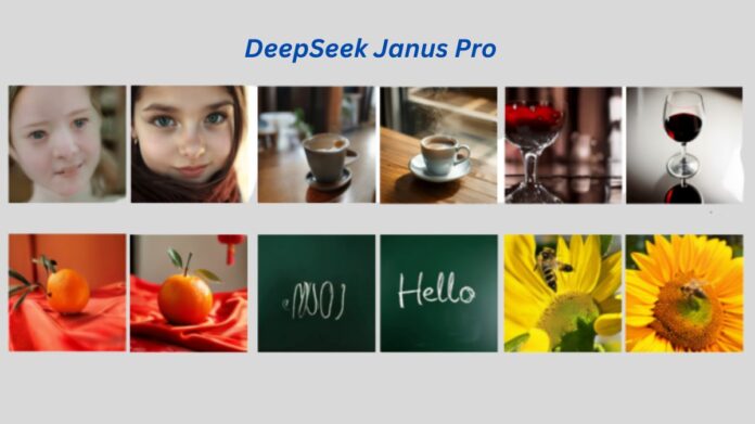 DeepSeek Janus Pro