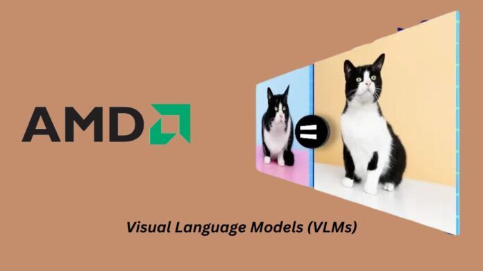 Visual Language Models (VLMs)