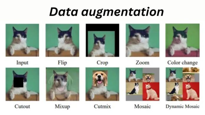 Data Augmentation