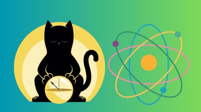 Cat Qubit quantum computing