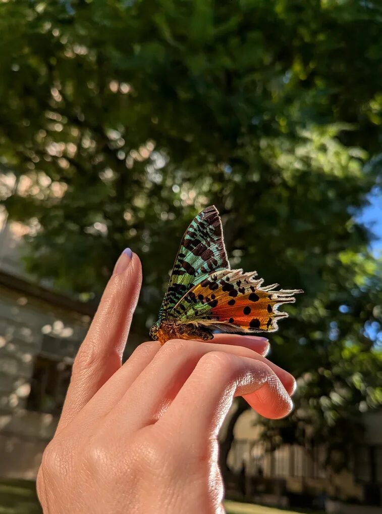 Pixel 9a also has Night Sight