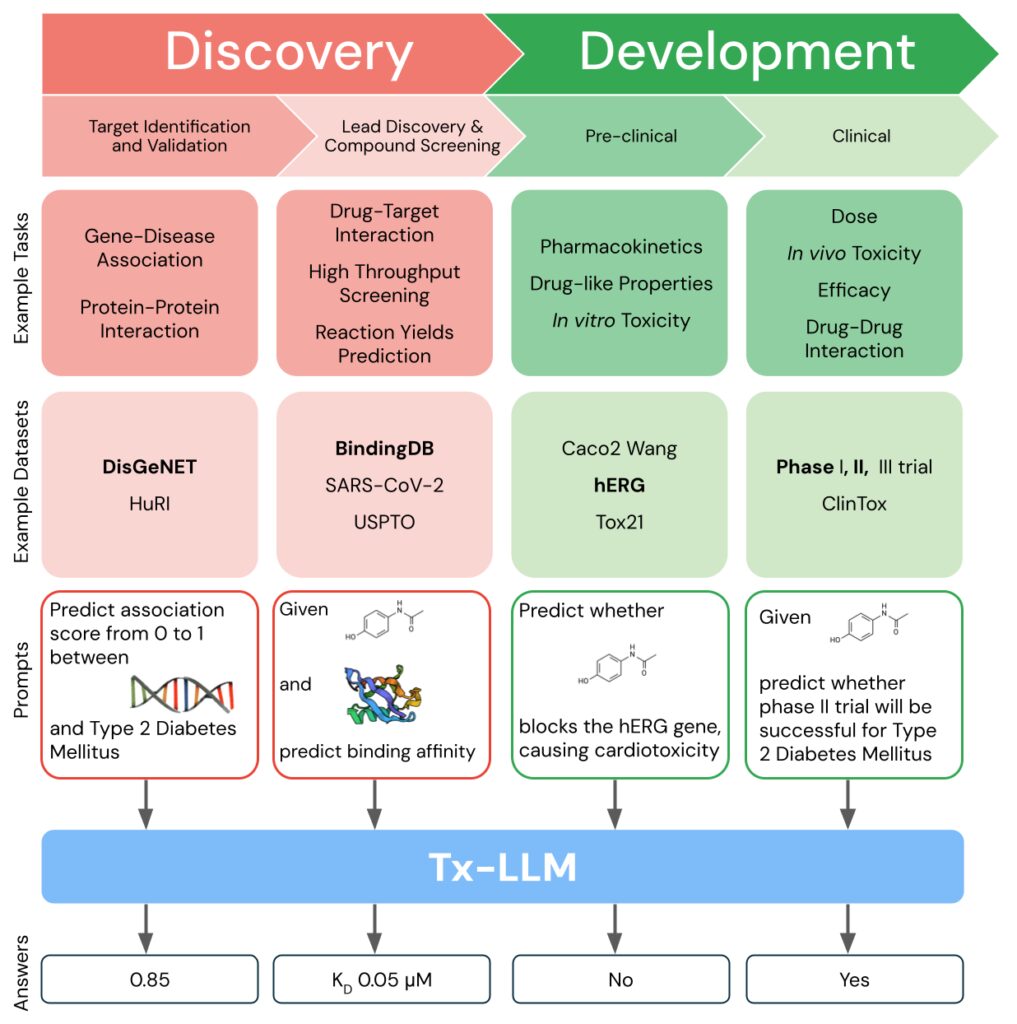 Tx-LLM: Enhancing Pharmaceutical R&D with Cutting-Edge AI image 33 1 Tx-LLM is a single model that is fine-tuned to predict properties for tasks related to therapeutic development, ranging from early-stage target identification to late-stage clinical trial approval.