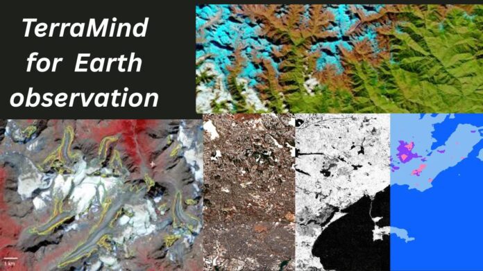 TerraMind