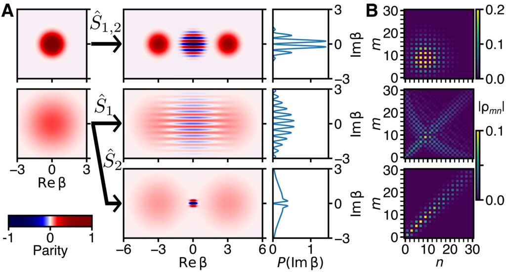 Hot Schrödinger cat states in theory Hot Schrödinger cat states in theory