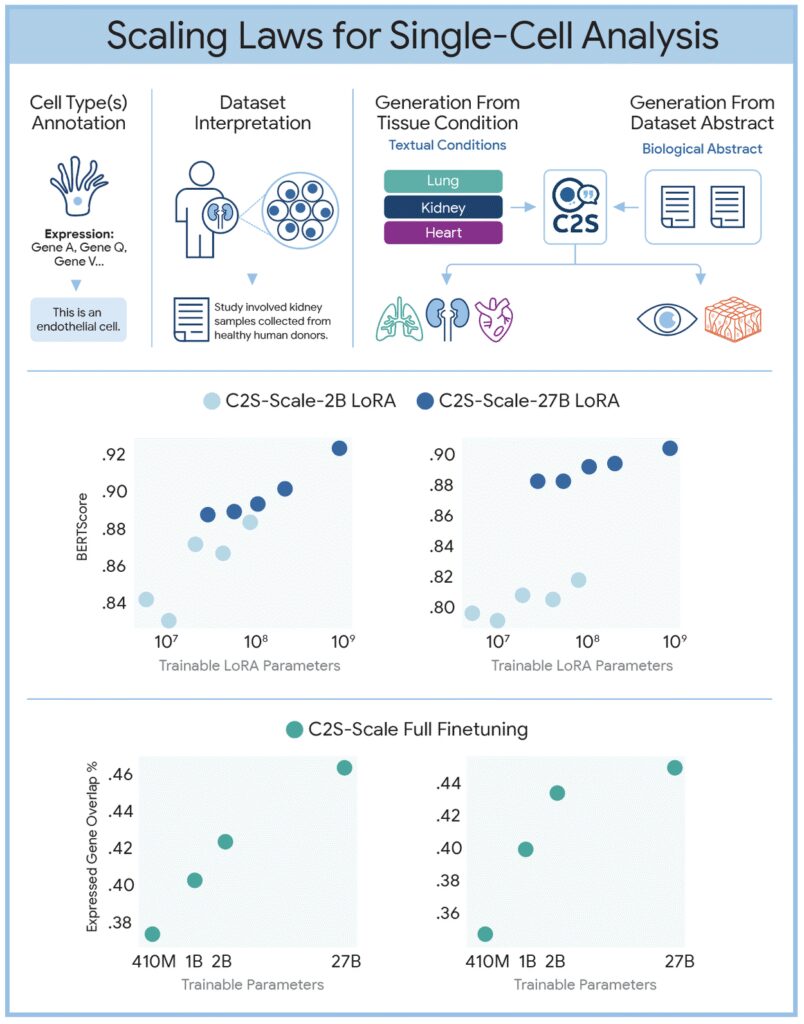 Scaling Laws for Single-cell Analysis